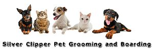 Silver Clipper Pet Grooming & Boarding